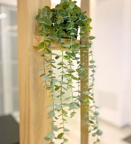 Ancient Open Space Nel Centro Storico Padovano